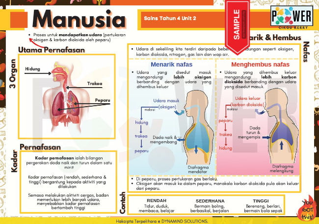 E-NOTA POWER SAINS KSSR SEMAKAN TAHUN 4 - Cikgu.Info